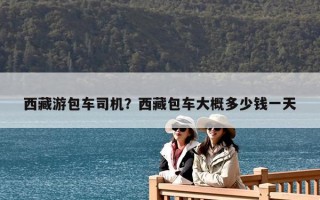 西藏游包車司機？西藏包車大概多少錢一天