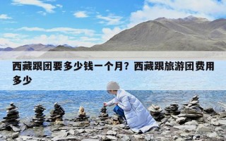 西藏跟團(tuán)要多少錢一個月？西藏跟旅游團(tuán)費用多少