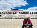去西藏旅游用什么車？去西藏旅游什么車比較好