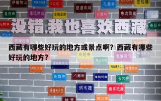 西藏有哪些好玩的地方或景點(diǎn)啊？西藏有哪些好玩的地方?