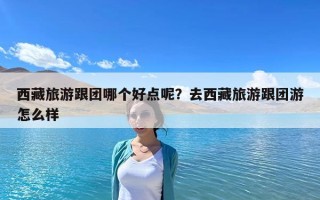 西藏旅游跟團哪個好點呢?去西藏旅游跟團游怎么樣 西藏旅游跟團哪個好點呢?去西藏旅游跟團游怎么樣