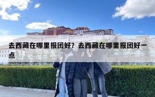 去西藏在哪里報團好？去西藏在哪里報團好一點