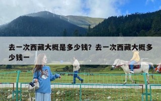 去一次西藏大概是多少錢？去一次西藏大概多少錢一