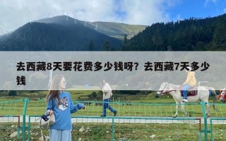 去西藏8天要花費(fèi)多少錢呀？去西藏7天多少錢