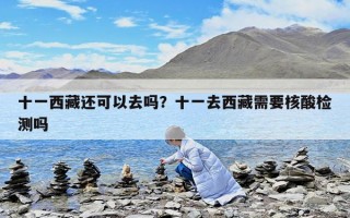 十一西藏還可以去嗎？十一去西藏需要核酸檢測嗎