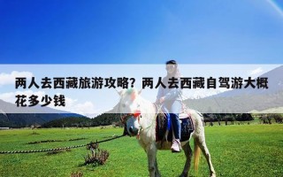 兩人去西藏旅游攻略？兩人去西藏自駕游大概花多少錢