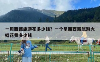 一周西藏旅游花多少錢？一個星期西藏旅游大概花費多少錢