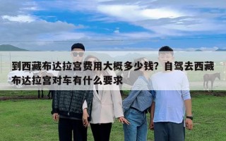 到西藏布達拉宮費用大概多少錢?自駕去西藏布達拉宮對車有什么要求 到西藏布達拉宮費用大概多少錢?自駕去西藏布達拉宮對車有什么要求