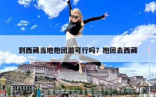 到西藏當(dāng)?shù)乇F(tuán)游可行嗎？抱團(tuán)去西藏