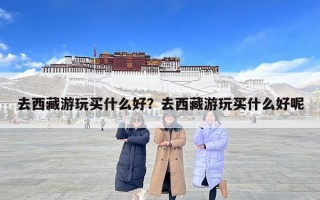 去西藏游玩買什么好?去西藏游玩買什么好呢 去西藏游玩買什么好?去西藏游玩買什么好呢