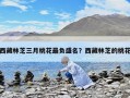 西藏林芝三月桃花最負盛名？西藏林芝的桃花
