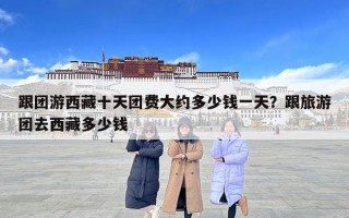 跟團游西藏十天團費大約多少錢一天？跟旅游團去西藏多少錢