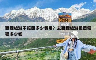 西藏旅游不報(bào)團(tuán)多少費(fèi)用？去西藏旅游報(bào)團(tuán)需要多少錢
