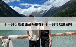 十一月份能去西藏嗎現在？十一月可以進藏嗎