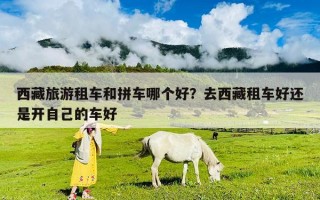 西藏旅游租車和拼車哪個好？去西藏租車好還是開自己的車好