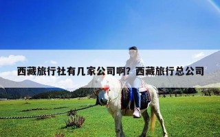 西藏旅行社有幾家公司啊？西藏旅行總公司