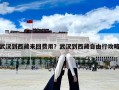 武漢到西藏來回費(fèi)用？武漢到西藏自由行攻略