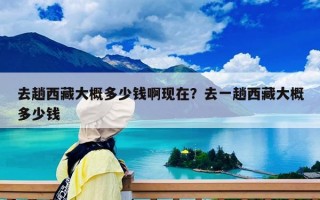 去趟西藏大概多少錢(qián)啊現(xiàn)在？去一趟西藏大概多少錢(qián)
