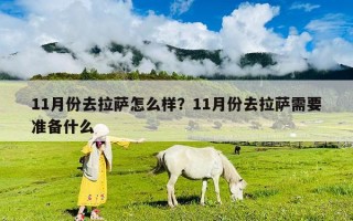 11月份去拉薩怎么樣？11月份去拉薩需要準備什么