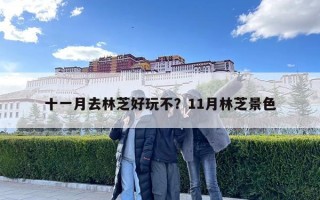 十一月去林芝好玩不？11月林芝景色