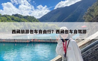 西藏旅游包車自由行？西藏包車自駕游