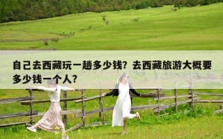 自己去西藏玩一趟多少錢？去西藏旅游大概要多少錢一個(gè)人?