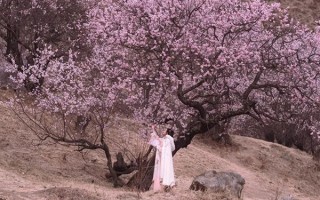 3月適合進藏旅游嗎？三月進藏去玩合適嗎？
