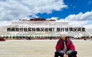 西藏旅行社實(shí)際情況說(shuō)明？旅行社情況調(diào)查