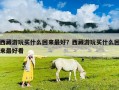 西藏游玩買什么回來最好？西藏游玩買什么回來最好看