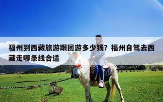福州到西藏旅游跟團游多少錢？福州自駕去西藏走哪條線合適