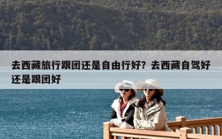 去西藏旅行跟團(tuán)還是自由行好？去西藏自駕好還是跟團(tuán)好