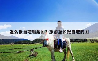 怎么報當(dāng)?shù)芈糜螆F？旅游怎么報當(dāng)?shù)氐膱F