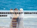 西藏旅游報(bào)團(tuán)好還是自由行？西藏自由行好還是跟團(tuán)好