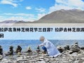 拉薩出發林芝桃花節三日游？拉薩去林芝旅游團