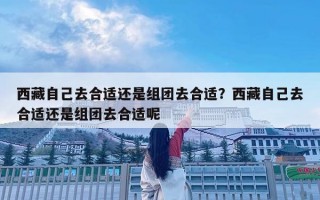 西藏自己去合適還是組團去合適？西藏自己去合適還是組團去合適呢