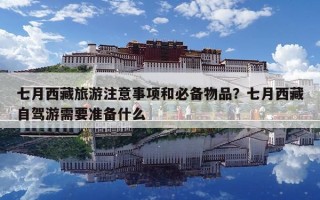 七月西藏旅游注意事項和必備物品？七月西藏自駕游需要準備什么