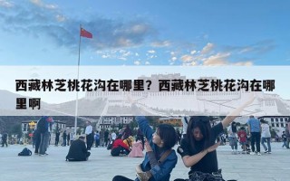 西藏林芝桃花溝在哪里？西藏林芝桃花溝在哪里啊