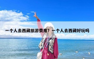 一個(gè)人去西藏旅游費(fèi)用？一個(gè)人去西藏好玩嗎