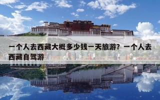 一個人去西藏大概多少錢一天旅游？一個人去西藏自駕游