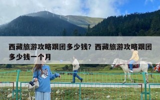 西藏旅游攻略跟團多少錢？西藏旅游攻略跟團多少錢一個月