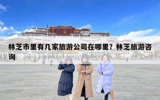 林芝市里有幾家旅游公司在哪里？林芝旅游咨詢