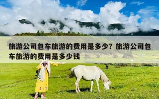 旅游公司包車旅游的費(fèi)用是多少？旅游公司包車旅游的費(fèi)用是多少錢