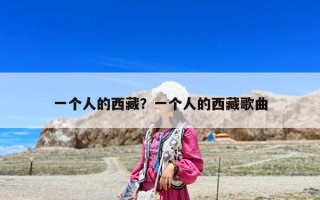 一個人的西藏？一個人的西藏歌曲