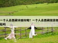 一個人去西藏詳細攻略？一個人去西藏旅游危險嗎