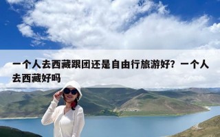 一個(gè)人去西藏跟團(tuán)還是自由行旅游好？一個(gè)人去西藏好嗎