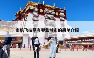 南航飛拉薩有哪些城市的簡單介紹