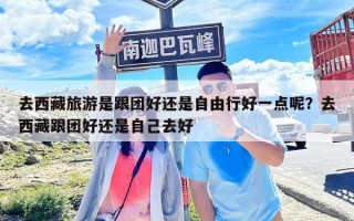 去西藏旅游是跟團好還是自由行好一點呢？去西藏跟團好還是自己去好