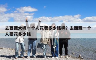 去西藏大概一個人花費多少錢啊？去西藏一個人要花多少錢
