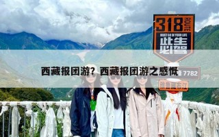 西藏報團游？西藏報團游之感慨