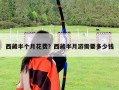 西藏半個(gè)月花費(fèi)？西藏半月游需要多少錢(qián)